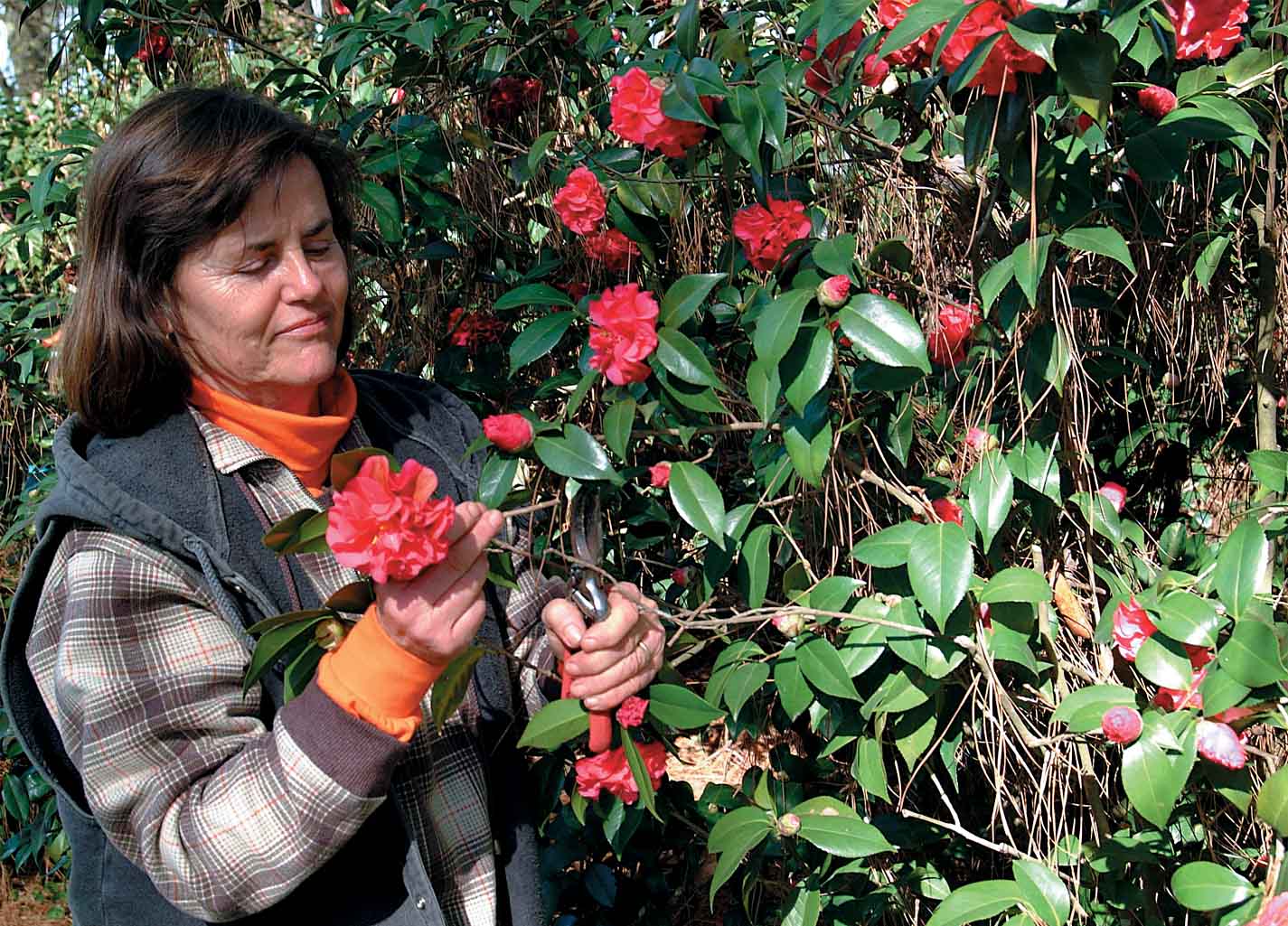 Peggy Cox