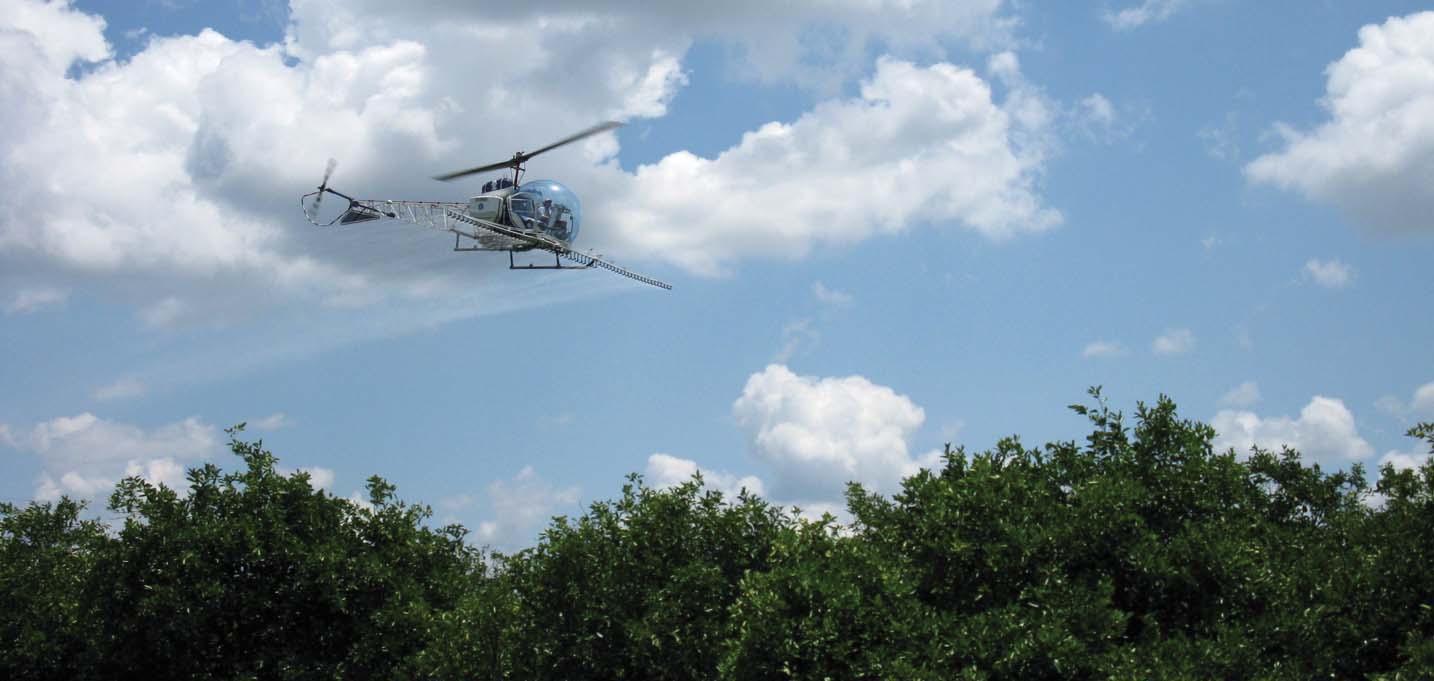 Plane spraying citrus orchard