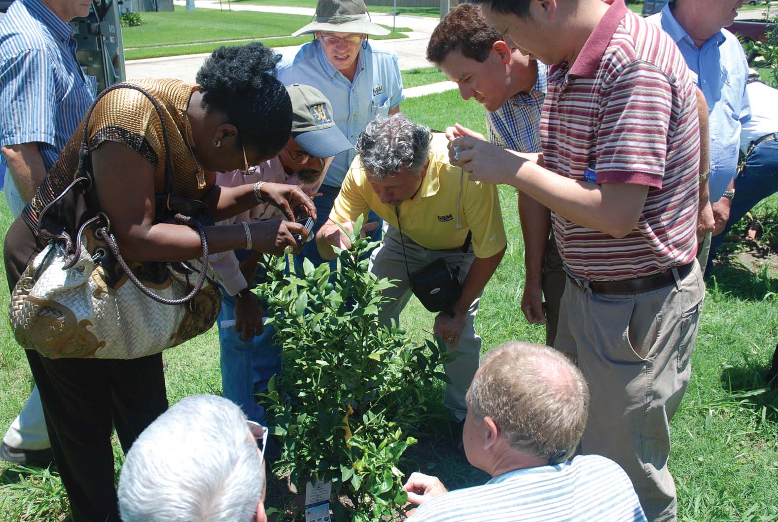 Photo of Don Ferrin training on Asian citrus