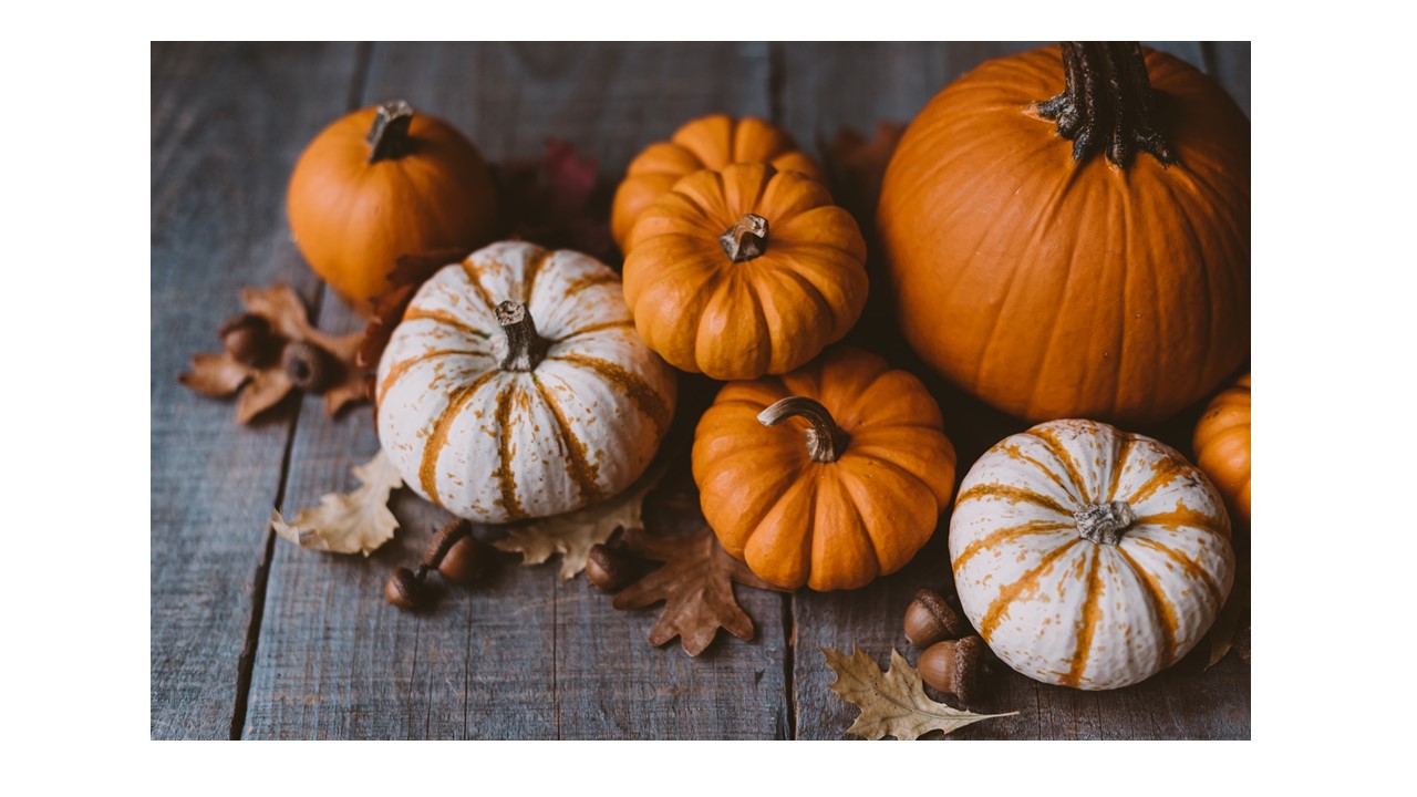 October.jpg thumbnail
