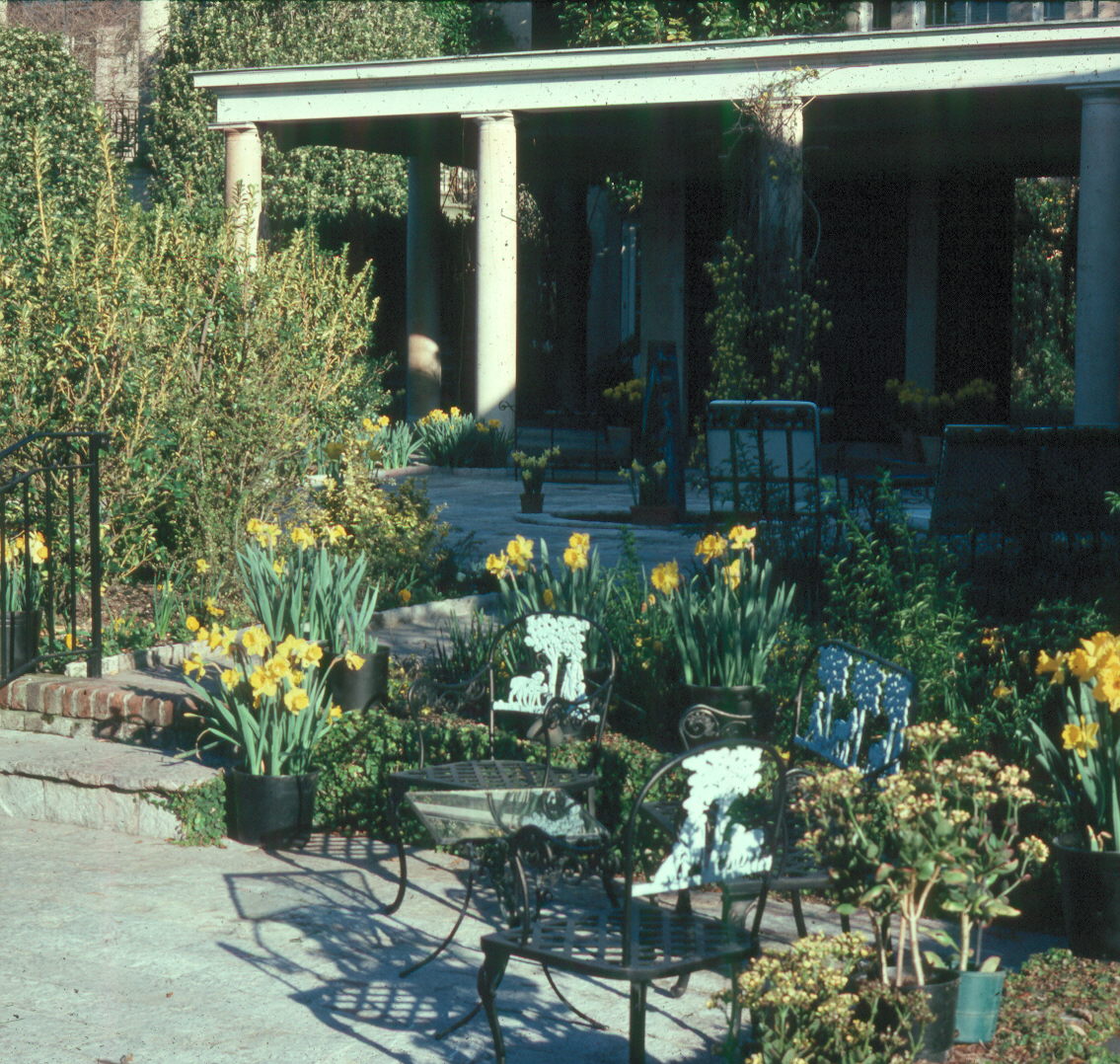 You can grow spring bulbs in containers