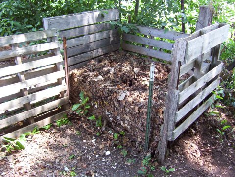 compostbinopenjpg