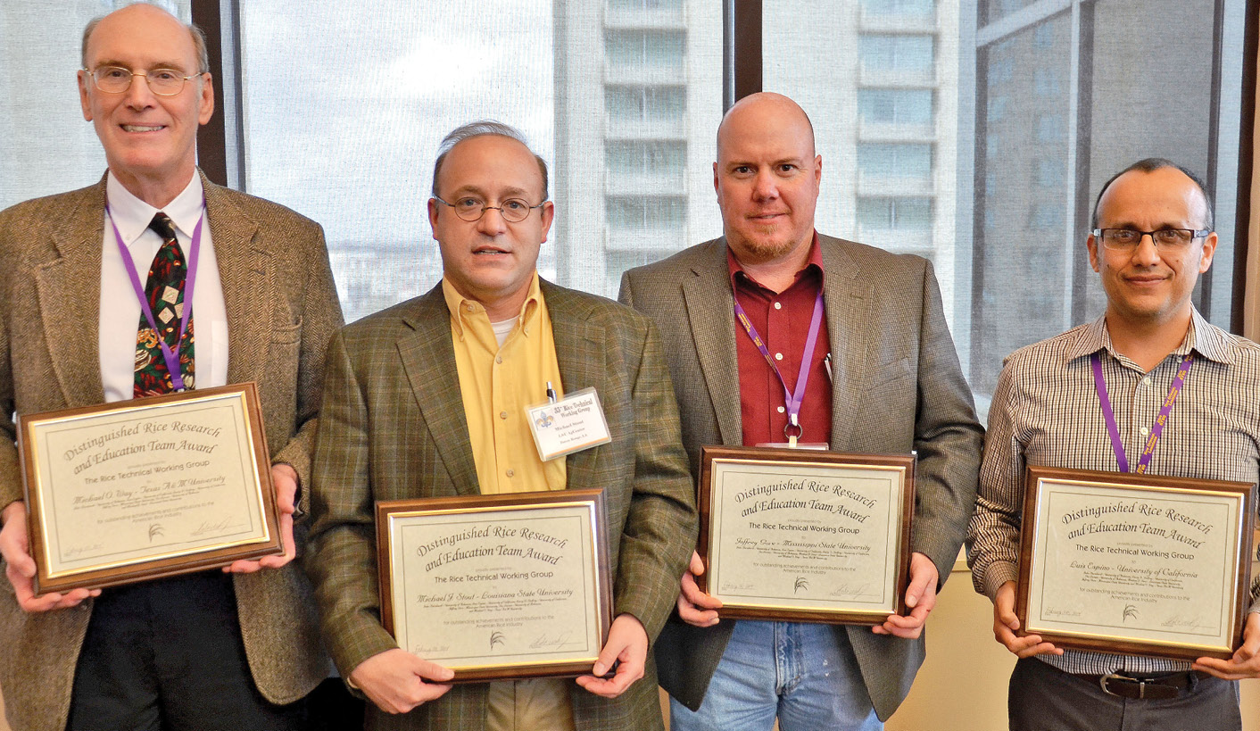 Mike Stout, LSU AgCenter entomologist, second from the left, was among the entomology team