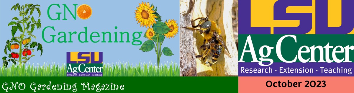 GNO Gardening Magazine - October 2023