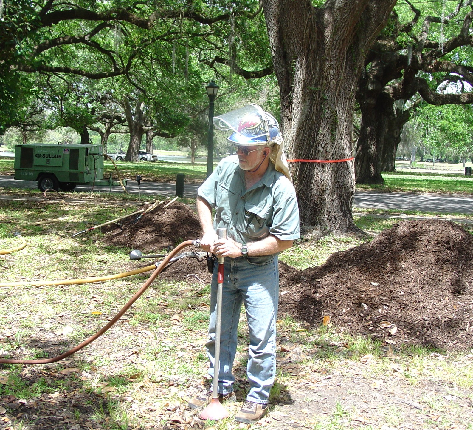 Hire an Arborist for Residential Tree Needs