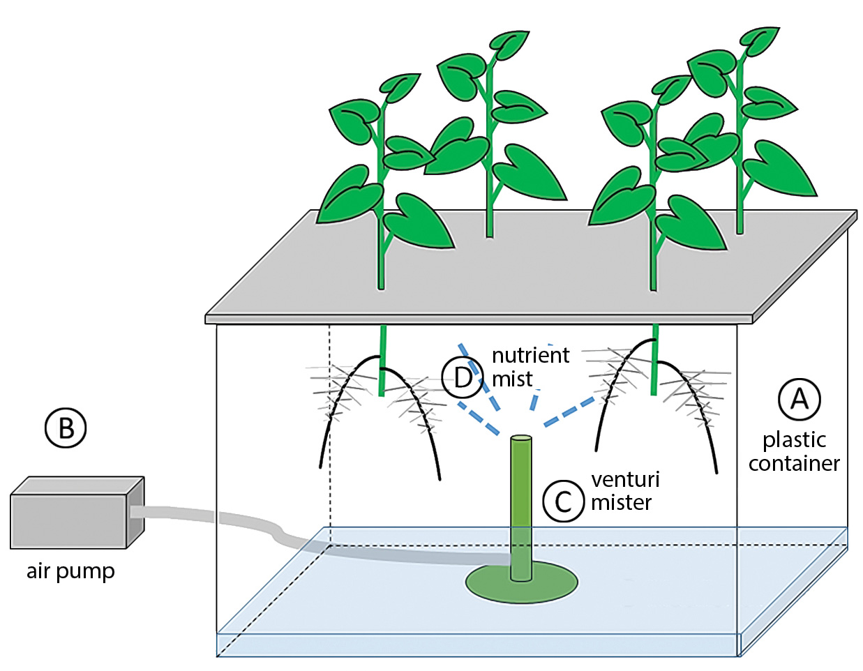 fig1diagrammatic.jpg thumbnail