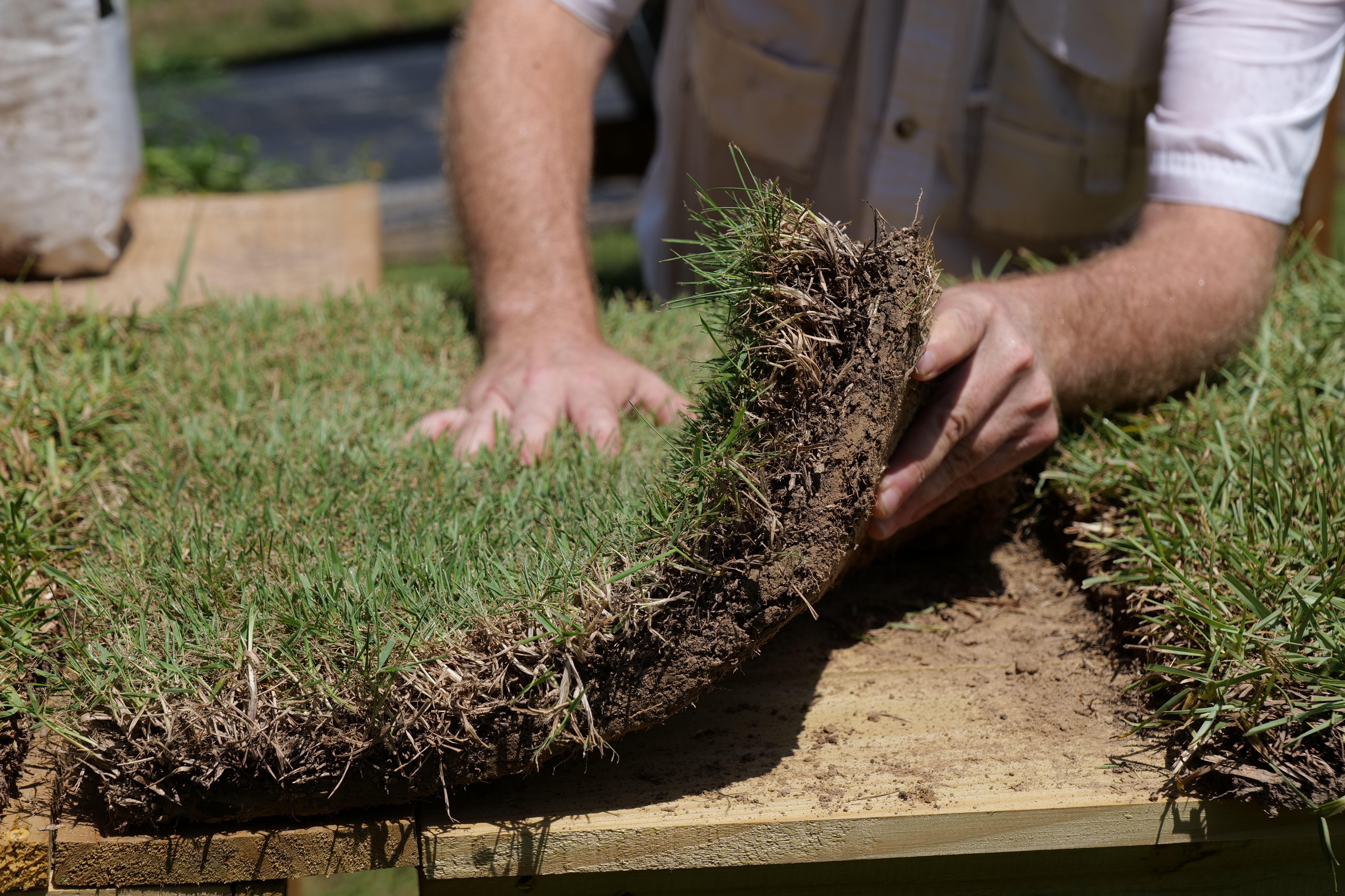Seven steps to sod success: A complete DIY guide to a new lawn