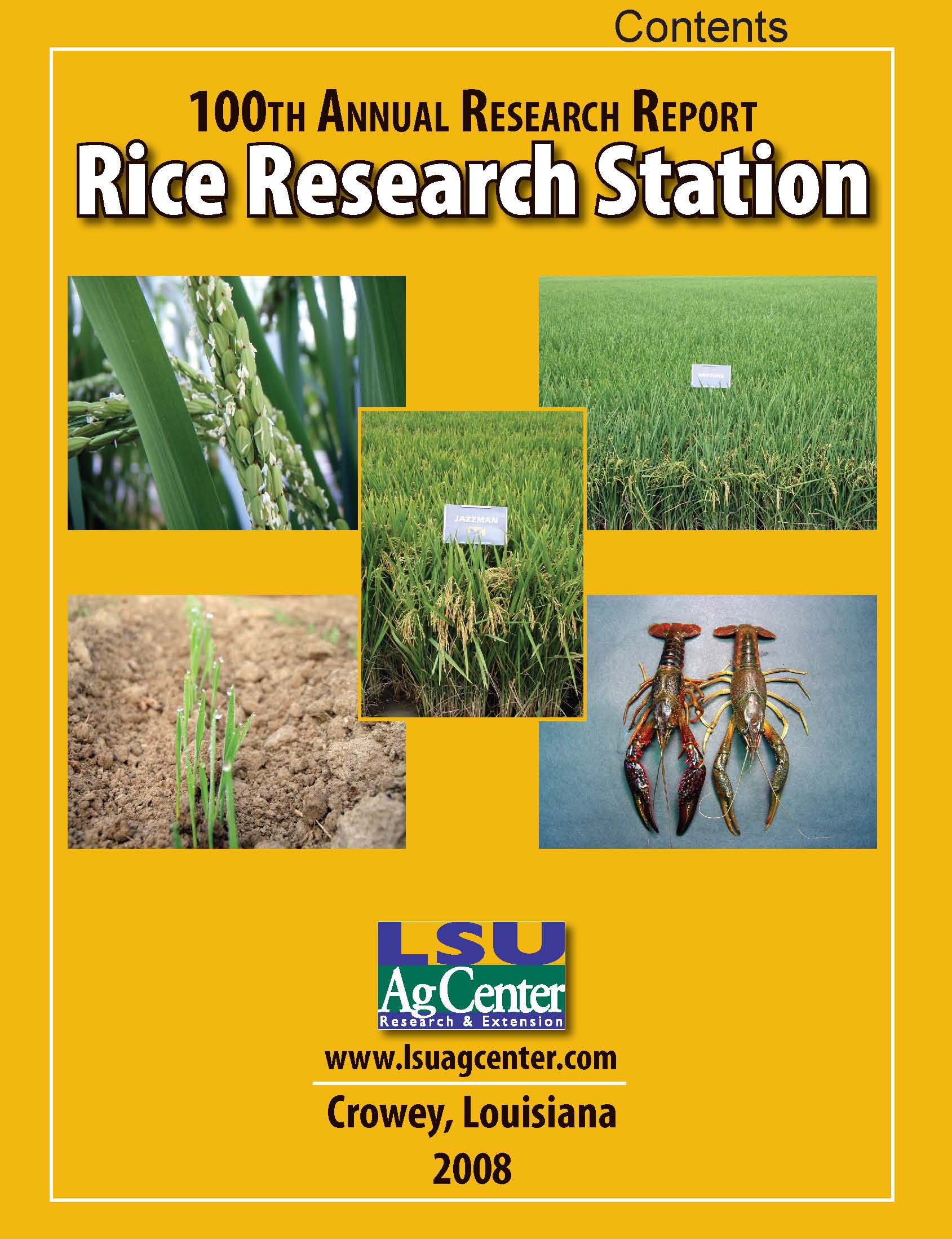 2008 Rice Research Annual Report