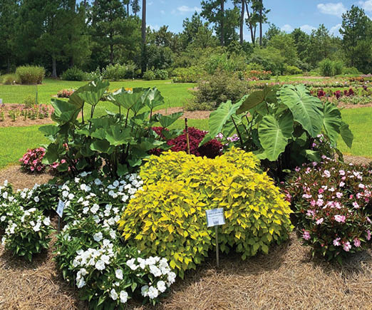 An ornamental flower and shrubbery bed infront of green lawn and more ornamental beds with tall green trees and sky with fluffy clouds in the background.
