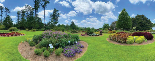 Numerous ornamental plant beds separated by green lawn infront of tall trees and a sky with fluffy clouds.
