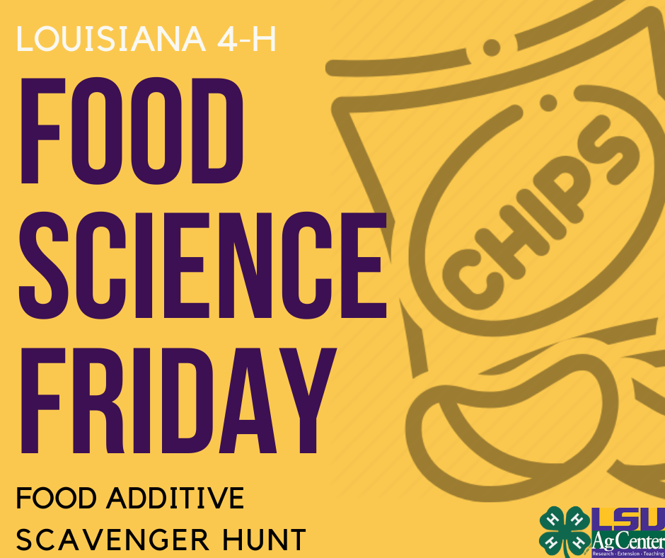 Food Science Friday: Scavenger Hunt