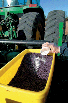 Hopper Box Applied Fungicides for Management of Cotton Seedling Diseases