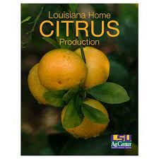 Roots, Shoots, Fruits & Flowers: Citrus Planting, Landscape Insurance, Bark Damage & Baldcypress Advice