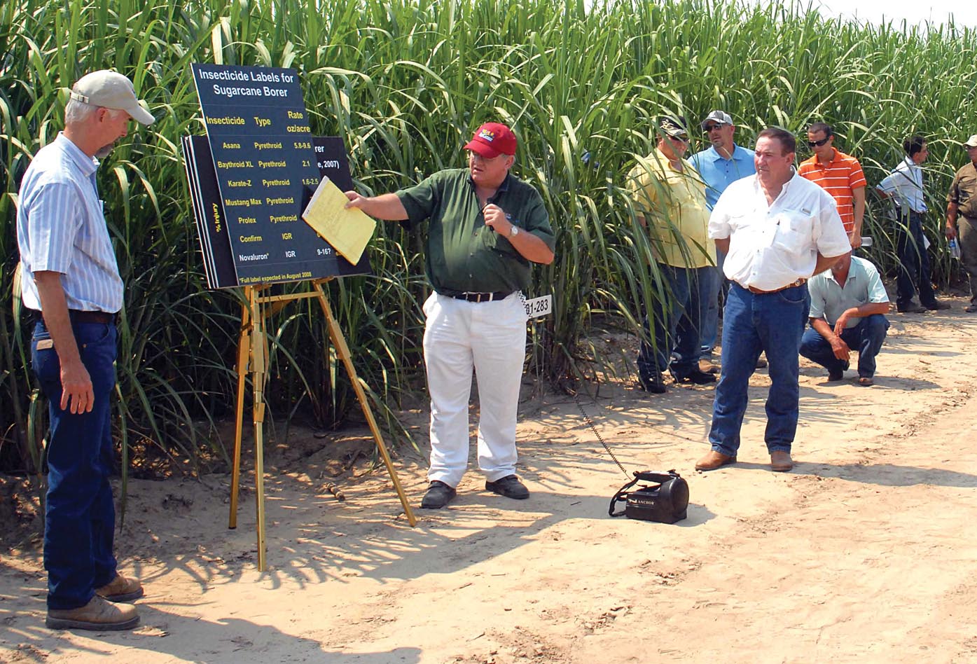 Rust keeps threatening Louisiana sugarcane