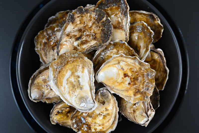 OYSTERS.jpg thumbnail