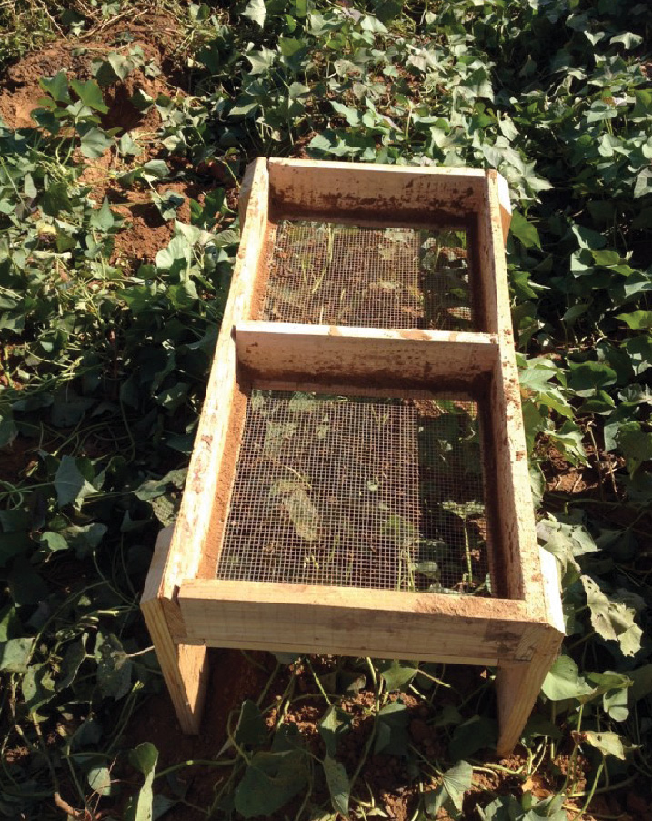 sift soil