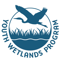 Create Your Own Wetland Animal