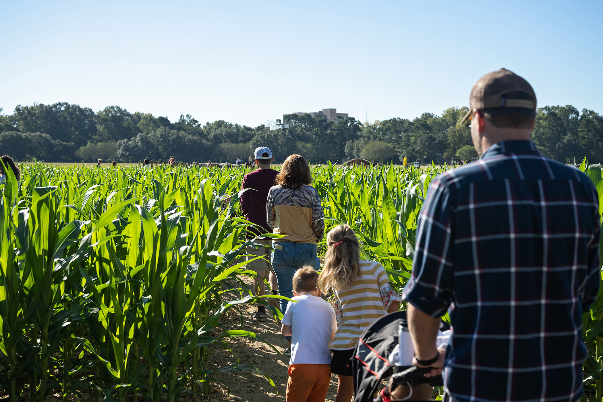 Aw, shucks! The Corn Maze is back at Burden in October 