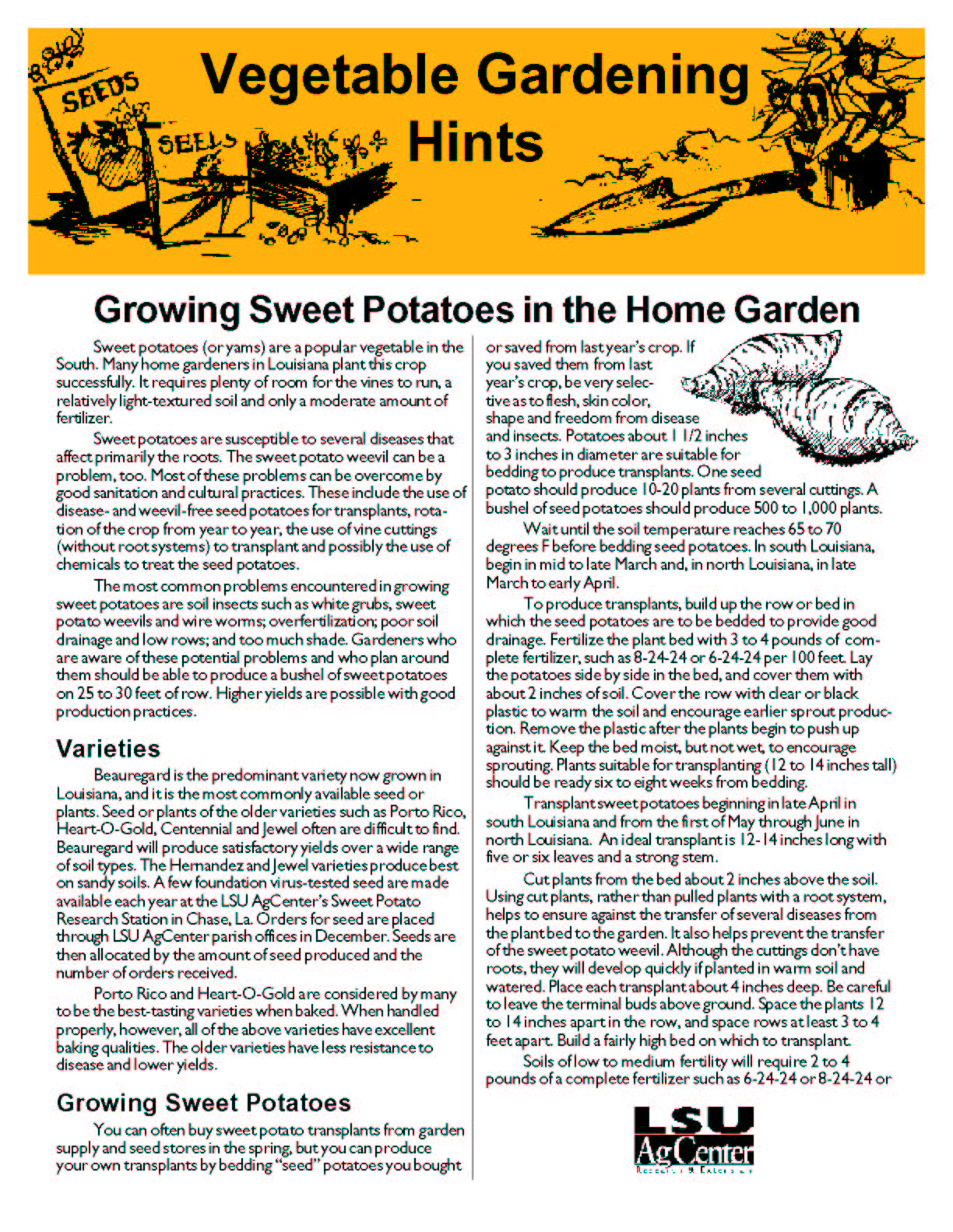 Sweet Potatoes