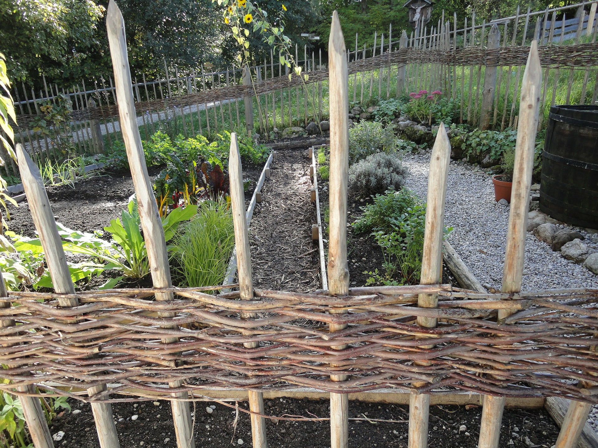 fence-218686_1920.jpg thumbnail