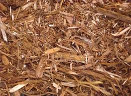 Add mulch to newly planted beds