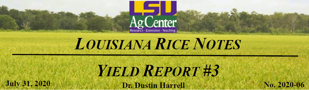 2020 Louisiana Rice Field Notes #6