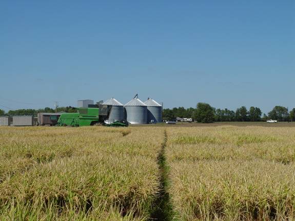 Agronomy Project