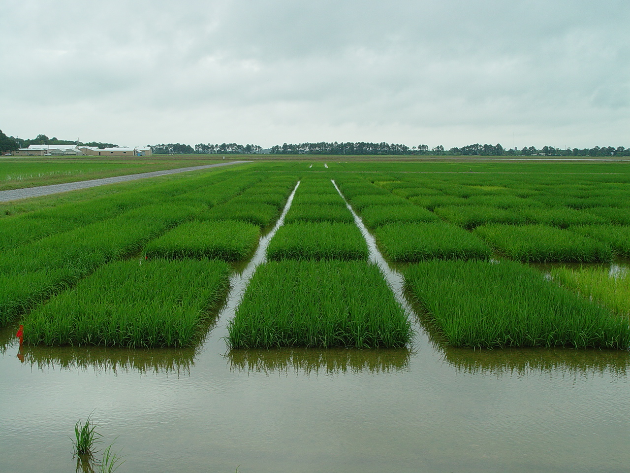 Nutrient management study
