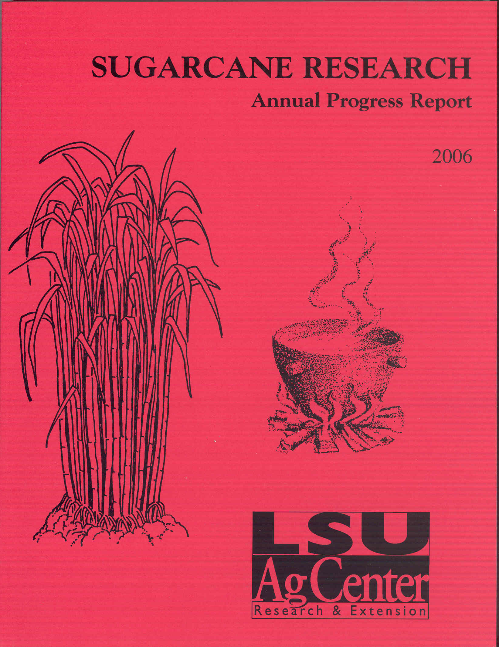 2006 Sugarcane Annual Report