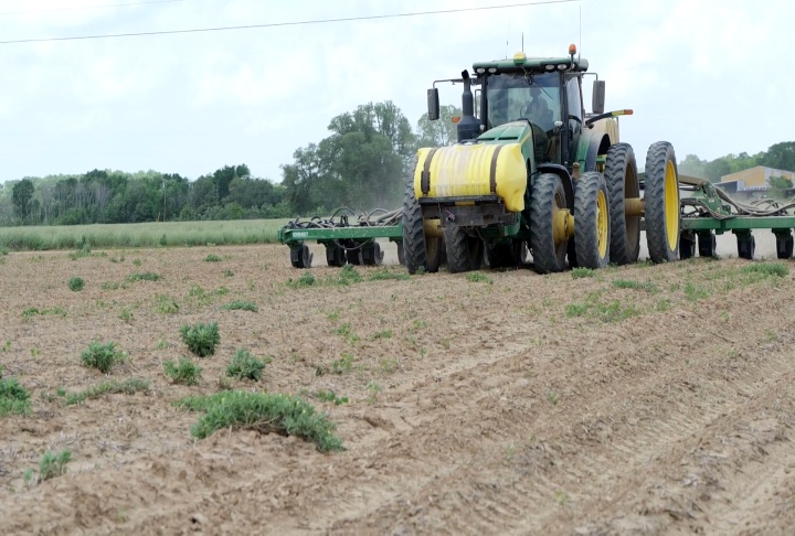 Soybean planting well ahead of schedule