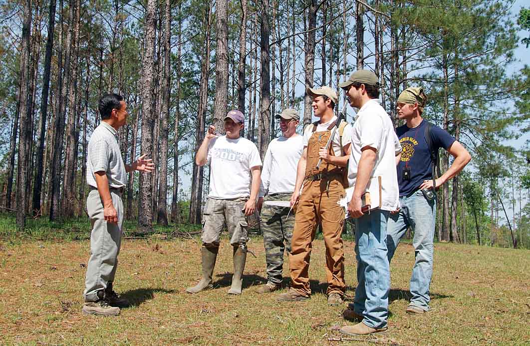 LSU AgCenter Scientist Develops New ‘Model’ To Predict Timber Production