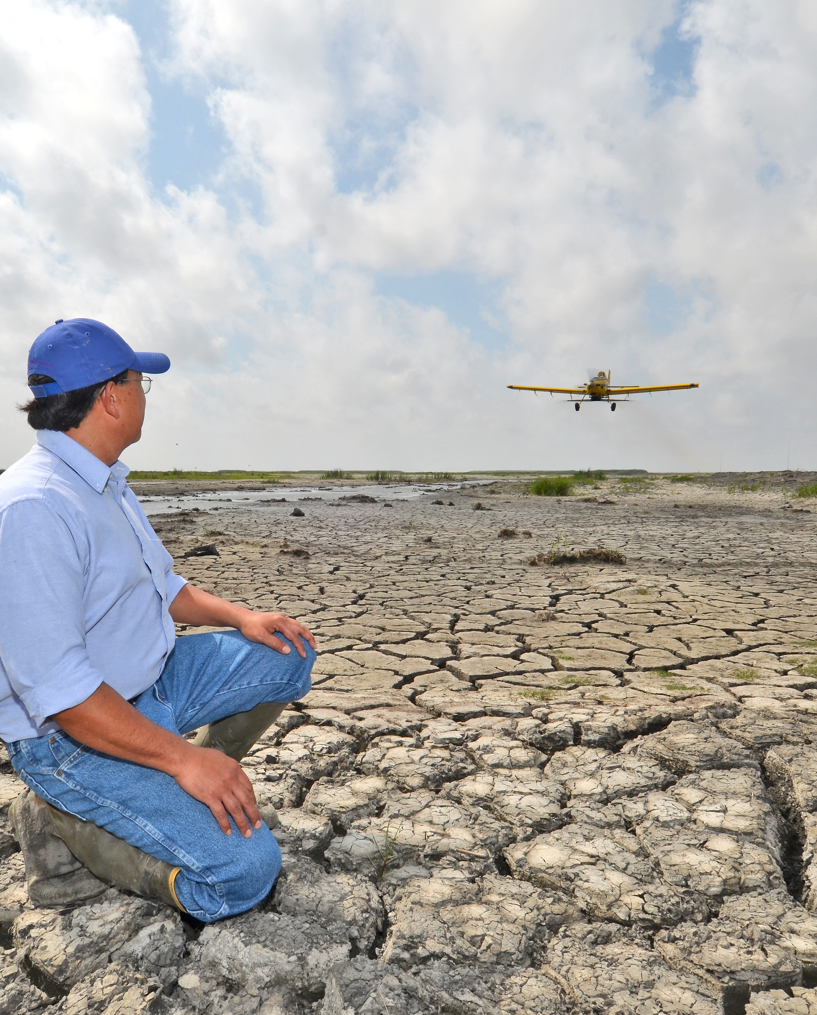 Scientist succeeds with aerial seeding of coastal plants