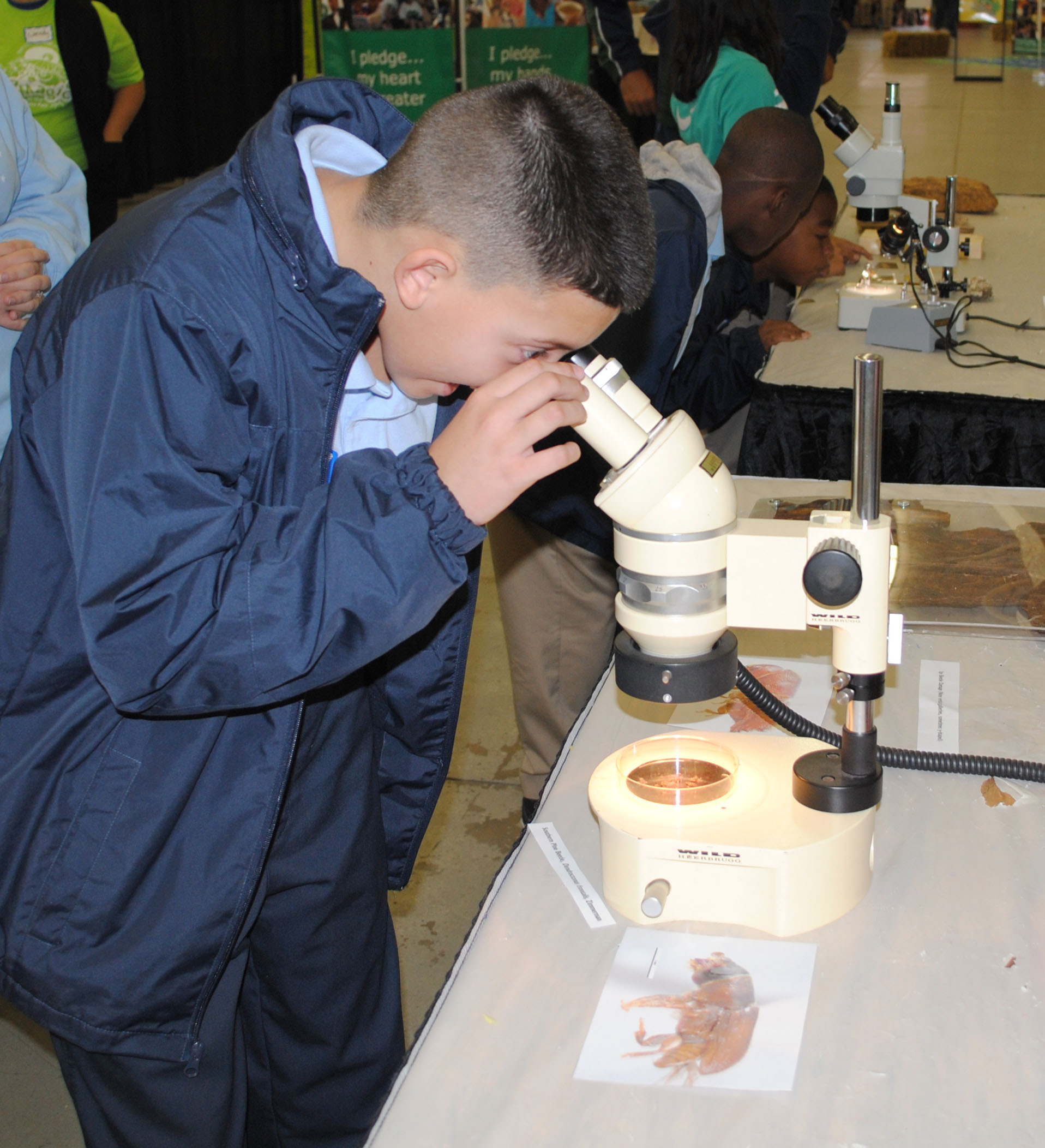 microscope