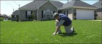 Lawn Care, a Hot Topic in August
