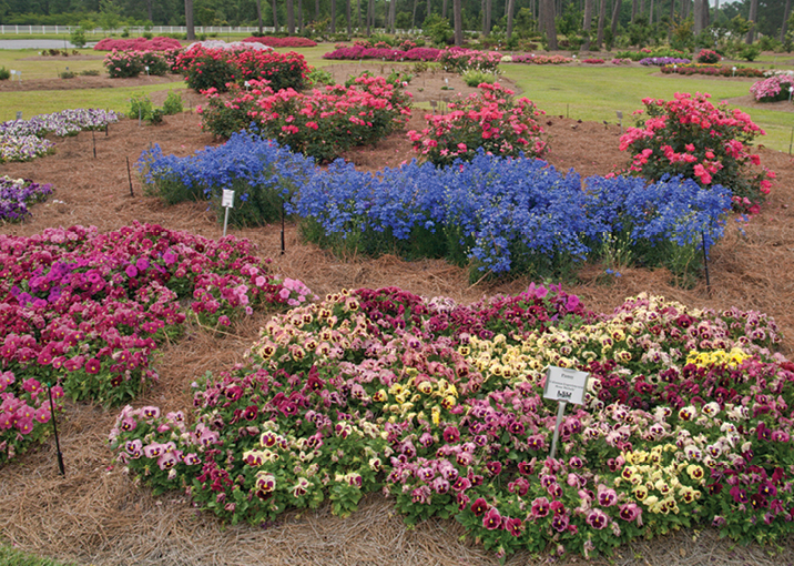 Urban gardening mecca – Hammond Research Station