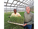 Sugarcane Varieties thumbnail