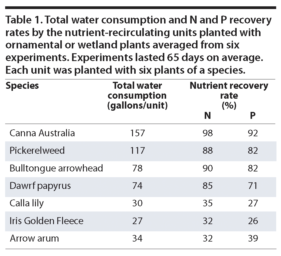 Plants remove nutrients from runoff
