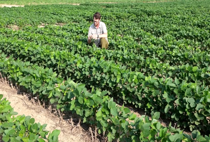 Nematode research showing progress in finding solutions