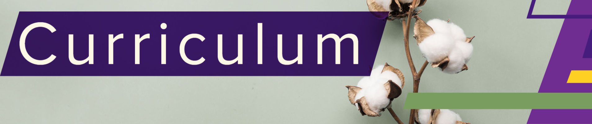 curriculumbanner.jpg thumbnail
