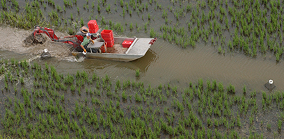 Overview of the Louisiana Crawfish Industry