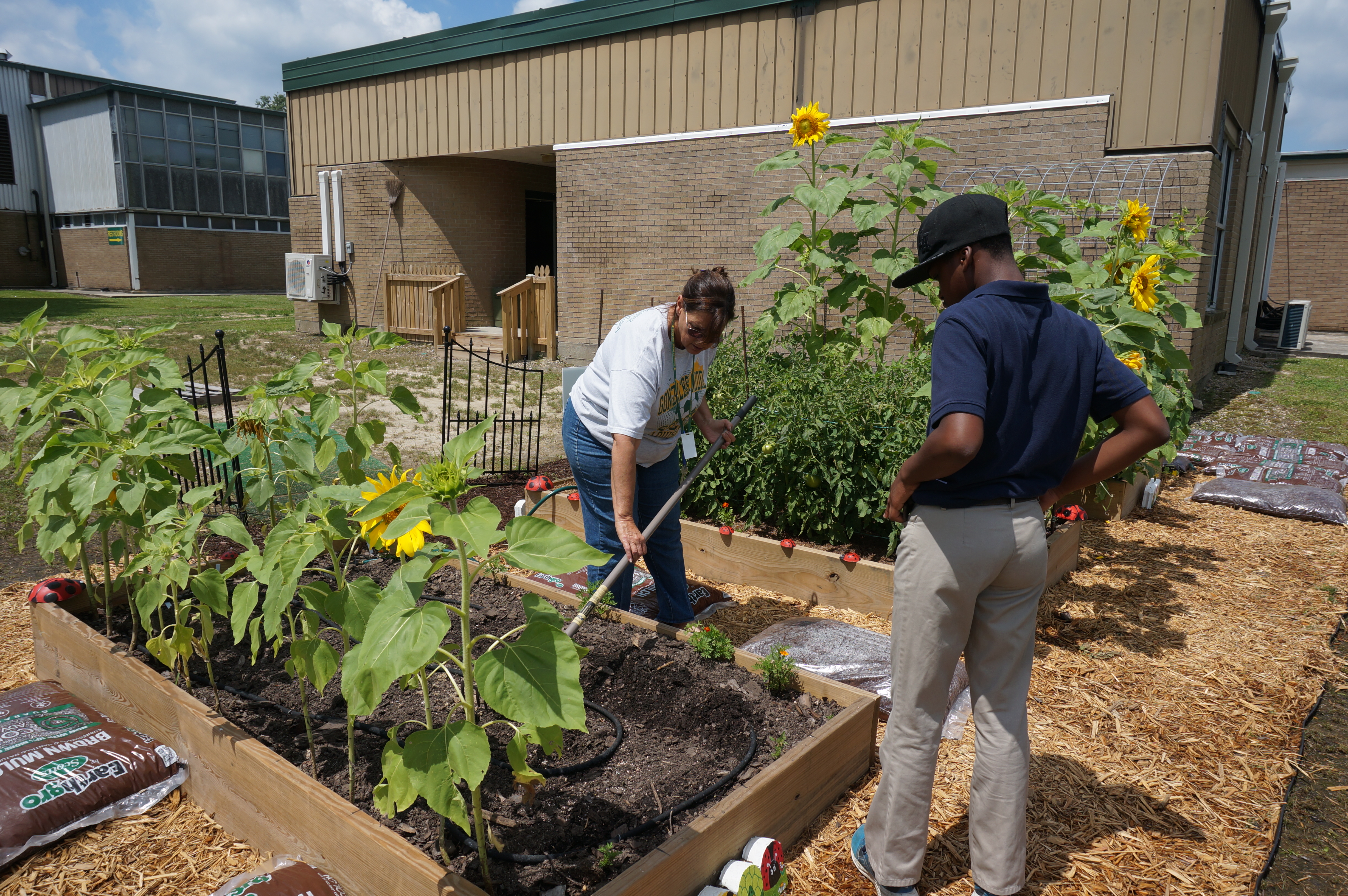 LSU AgCenter Greauxing Gardens Program Information and Videos