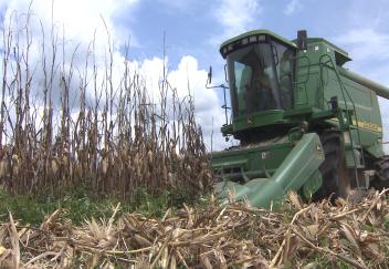 Good weather provides for a successful corn harvest