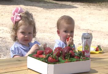 Agritourism workshops aim to ensure safety 