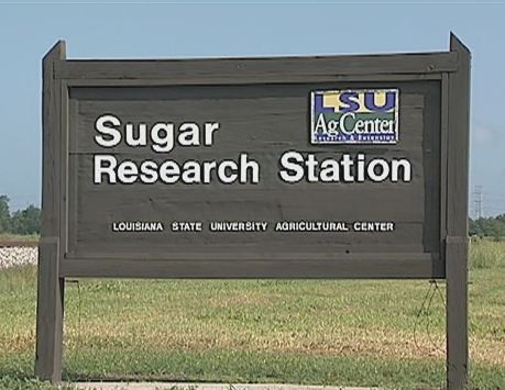 The Sugar Research Station Video