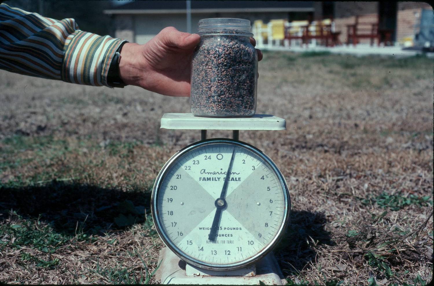 Choose the right fertilizer