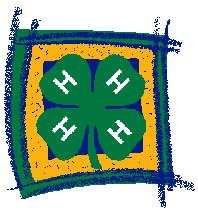4-H Honor Cord Award