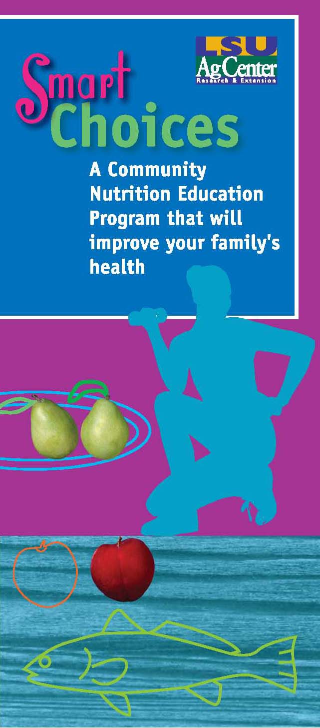 Smart Choices Promotional Brochure for Clients
