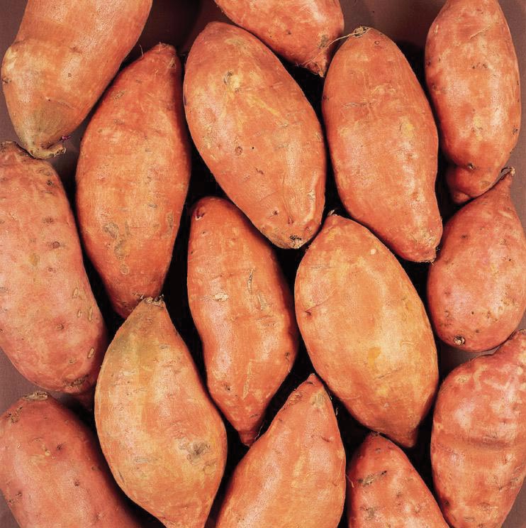 ‘Or you can call me Yam. . .’