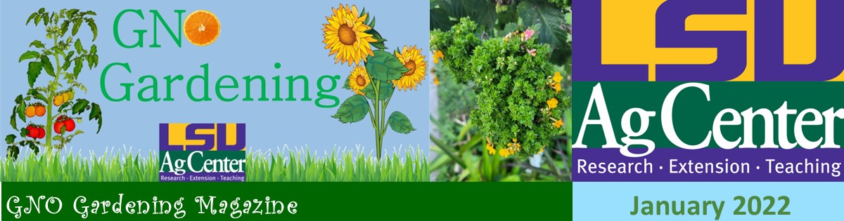 GNO Gardening - January 2022
