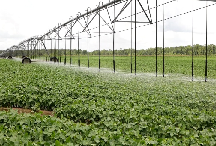 Irrigation critical for farmers this summer